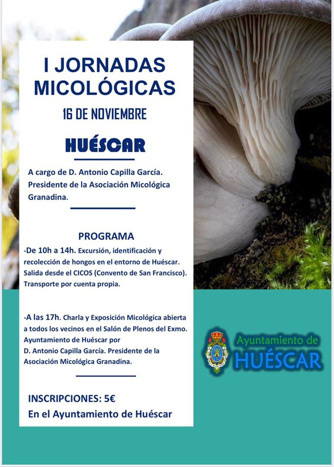 I JORNADAS MICOLÓGICAS HUÉSCAR